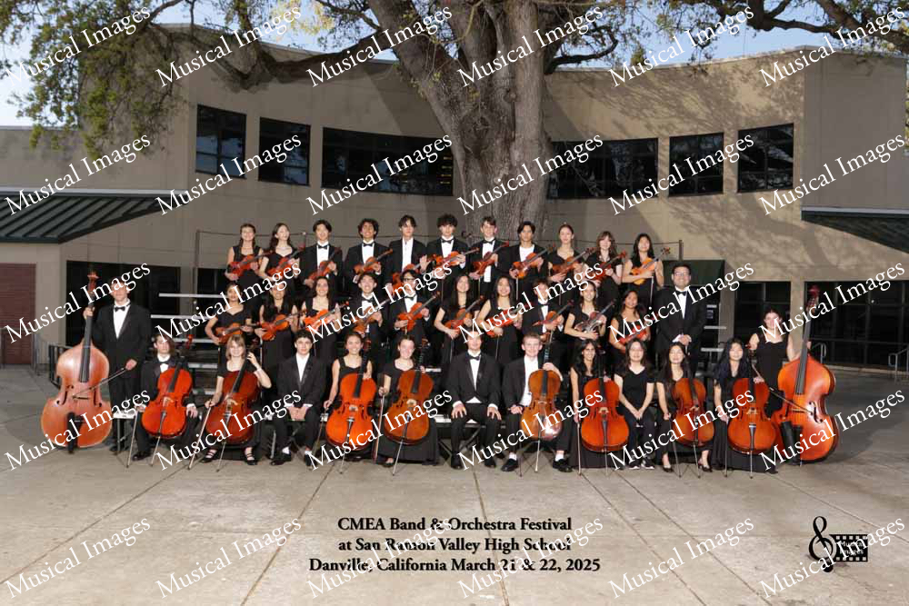 Musical Images